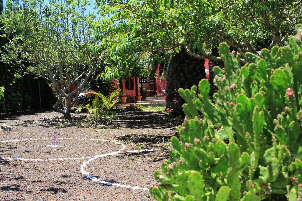 Luxury House In The Heart Of Tenerife لا لاغونا المظهر الخارجي الصورة